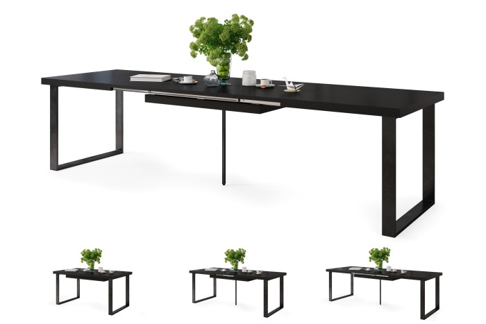 AVELLA Noir Mat - TABLE DE STYLE LOFT POUR SALON/SALLE À MANGER PLIABLE JUSQU'À 310 cm !